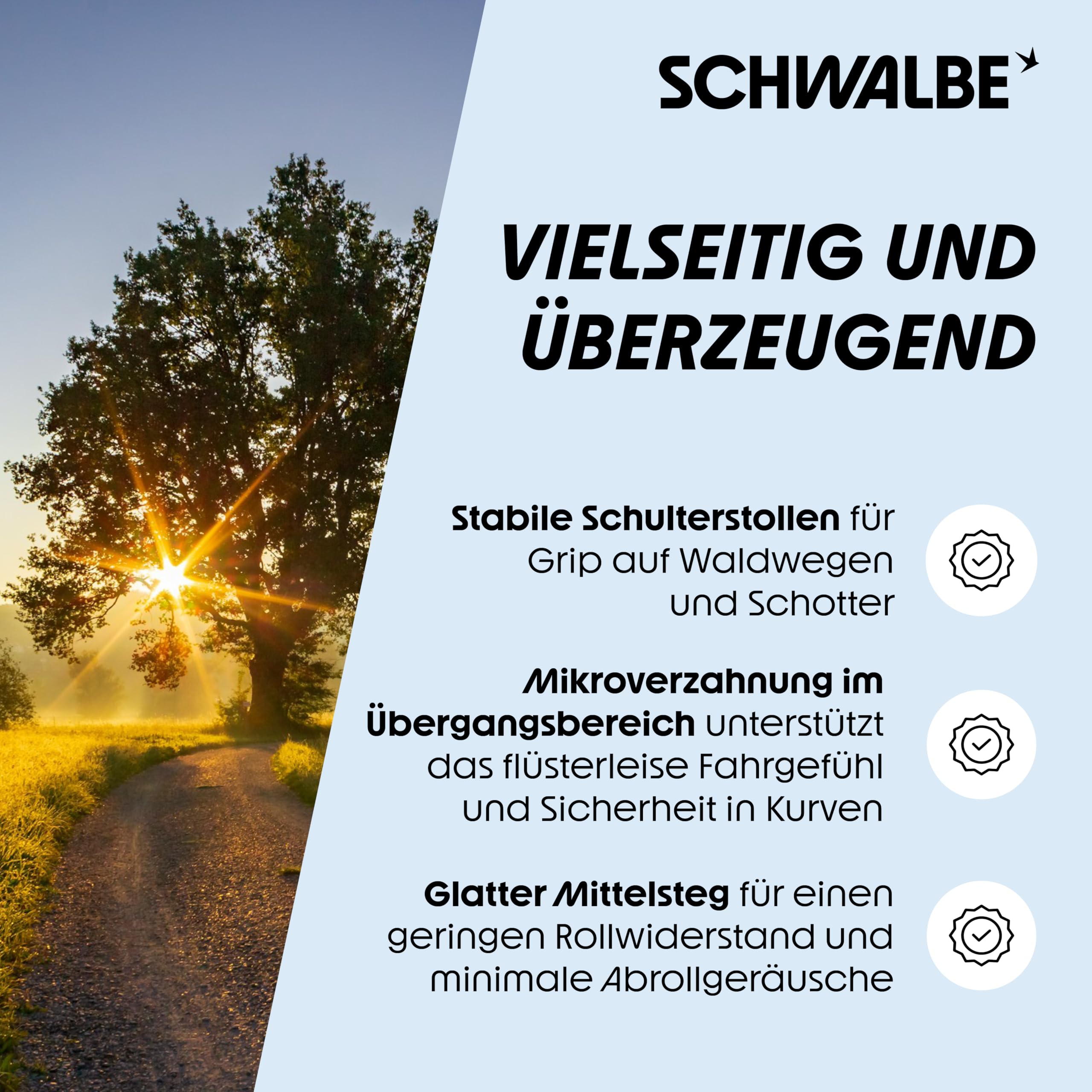 Amazon | シュワルベ(SCHWALBE)【正規品】ハリケーン 26x2.10